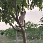 Casa Katiusa Hébergement de vacances *
