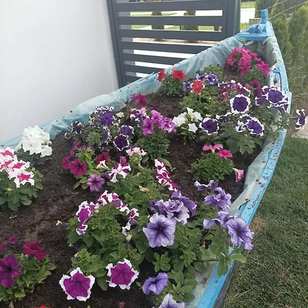 Ferienhaus Casa Katiusa Jurilovca