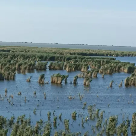 Casa Katiusa * Jurilovca