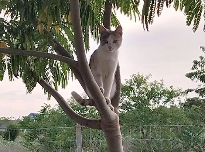 Casa Katiusa Ferienhaus *