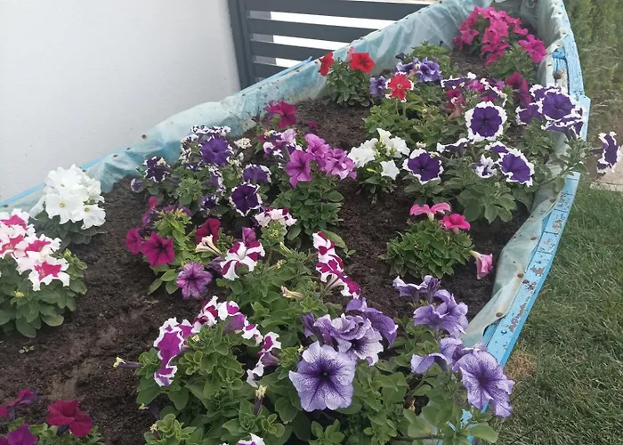 Ferienhaus Casa Katiusa Jurilovca