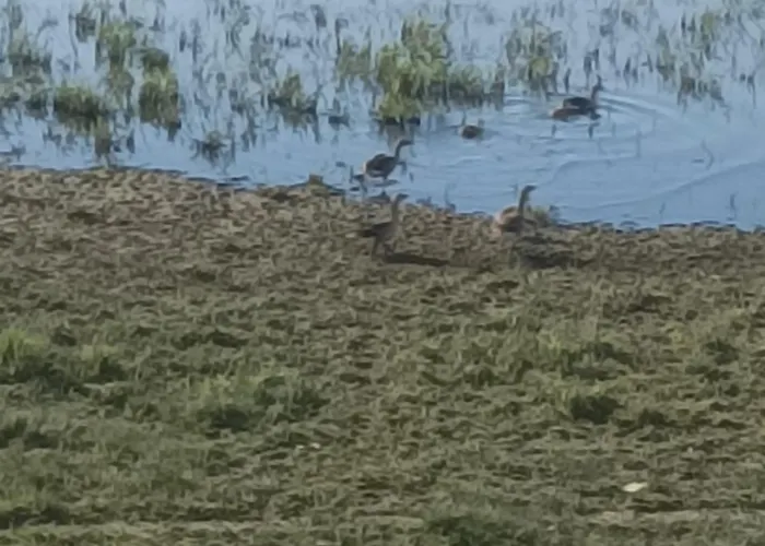 Ferienhaus Casa Katiusa Jurilovca